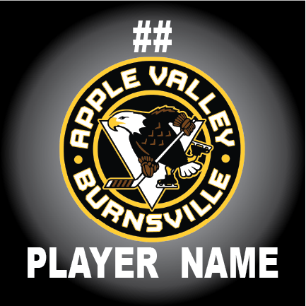 Shop APPLE VALLEY BURNSVILLE Hockey Car Decal| BLADESHARK Sports