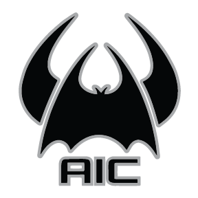 AIC VIKINGS Team Page