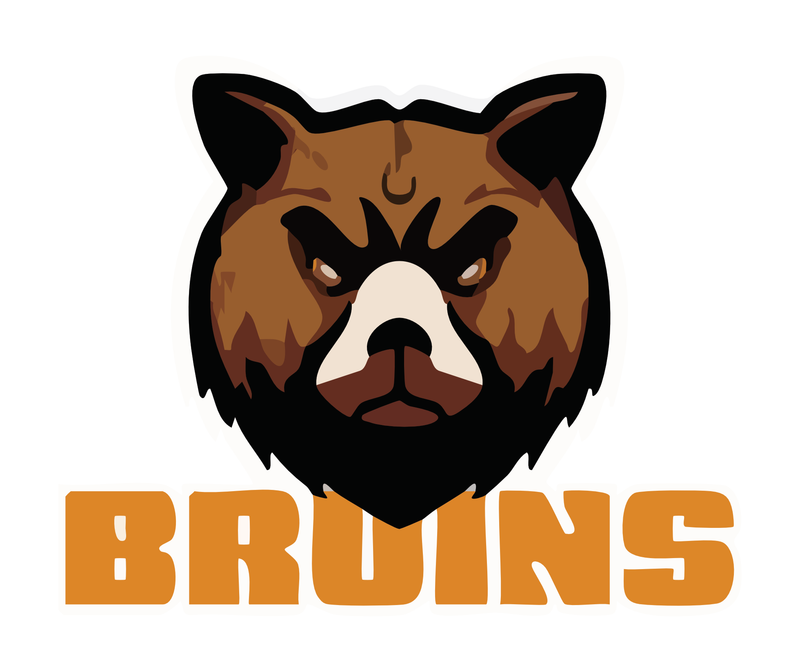 ANN ARBOR BIGBY BRUINS Team Page