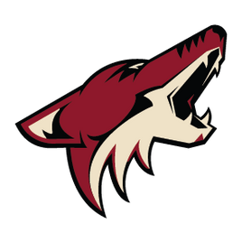 ARIZONA JR COYOTES