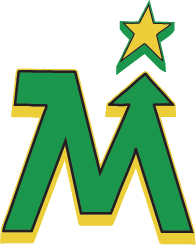 MINNESOTA BRICK Team Page