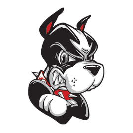 BOSTON JR TERRIERS