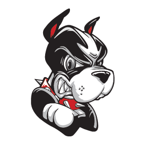 BOSTON JR TERRIERS