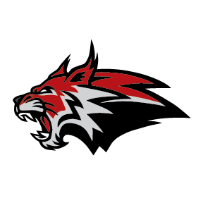 BRANDON VALLEY ICE CATS