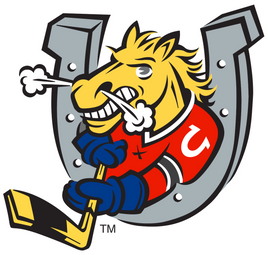 BARRIE COLTS