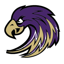 C3 STORMHAWKS