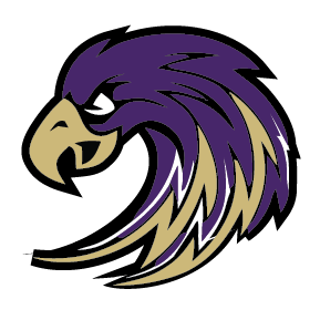 C3 STORMHAWKS