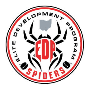 EDP SPIDERS Team Page