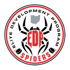 EDP SPIDERS
