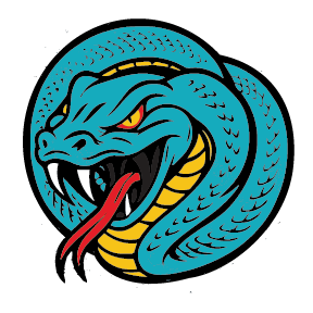 GREATER BOSTON VIPERS