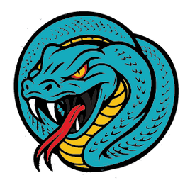 GREATER BOSTON VIPERS