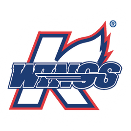 KALAMAZOO K-WINGS