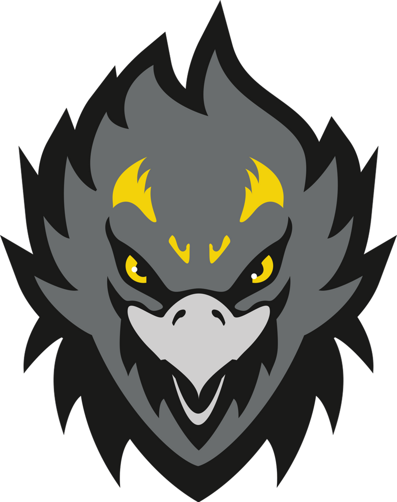 APPLE VALLEY BURNSVILLE FIREHAWKS Team Page