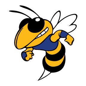 BIG LAKE HORNETS Team Page