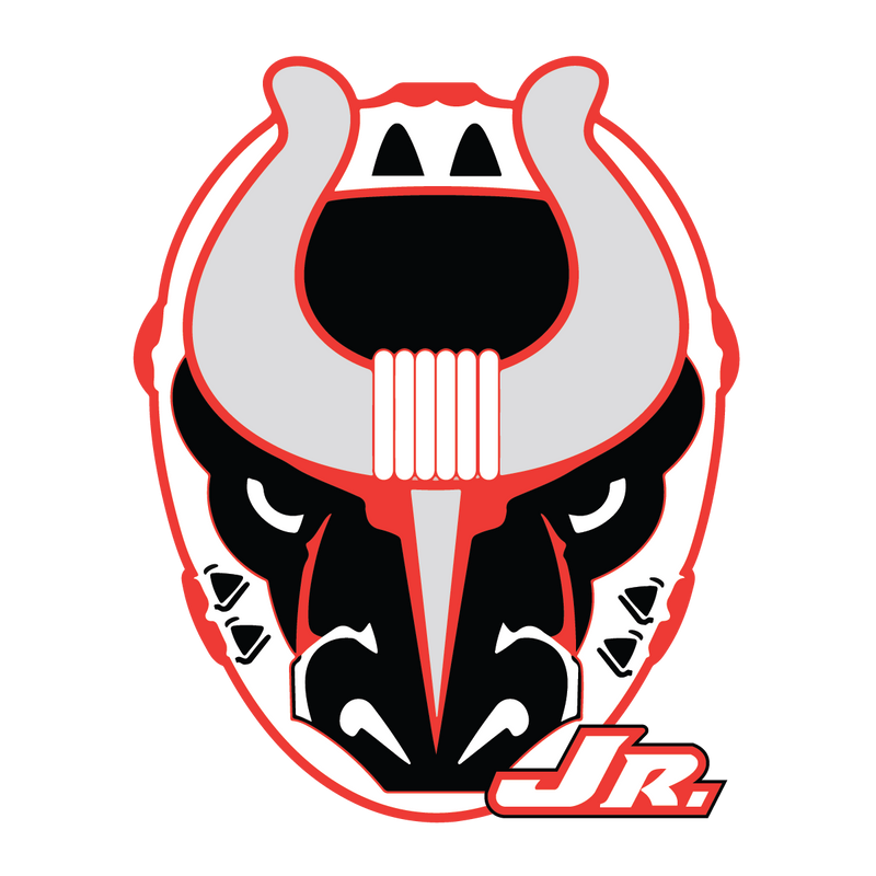 BIRMINGHAM JR BULLS Team Page