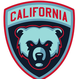 CALIFORNIA BEARS