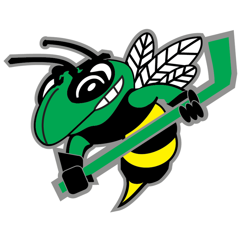 EDINA HORNETS Team Page