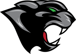 SOUTH HILLS PANTHERS