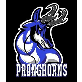 WYOMING PRONGHORNS