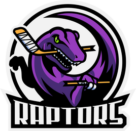 ROCHESTER RAPTORS