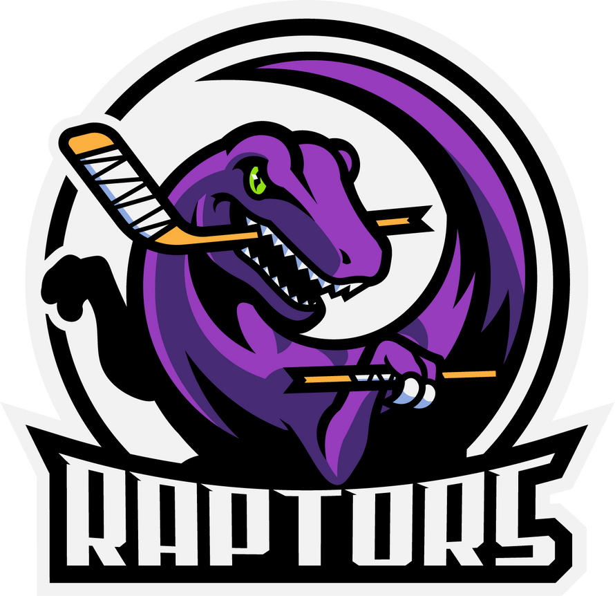 ROCHESTER RAPTORS