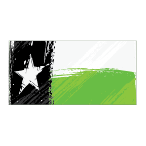 TEAM TEXAS Team Page