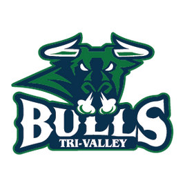 TRI VALLEY BULLS