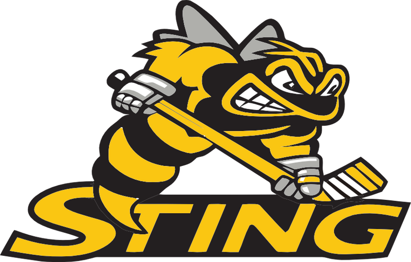 TROY STING HORNETS Team Page