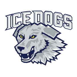 VERNON HILLS ICE DOGS