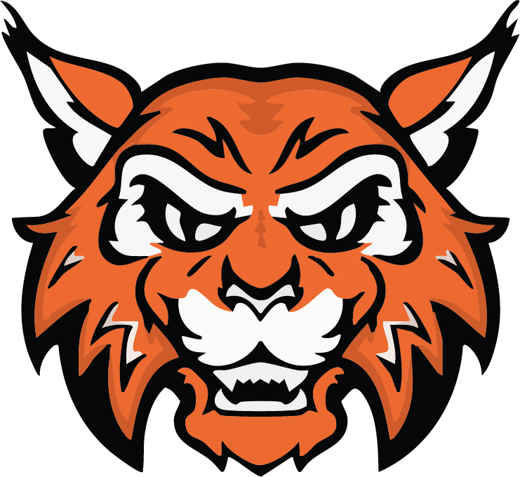 VERONA WILDCATS Team Page