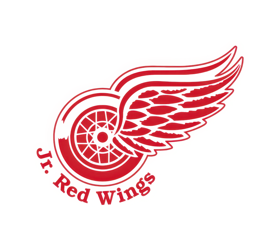 DETROIT JR REDWINGS BRICK