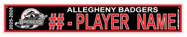 ALLEGHENY BADGERS