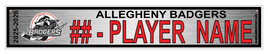 ALLEGHENY BADGERS