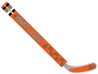 ANAHEIM LADY DUCKS