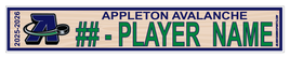 APPLETON AVALANCHE