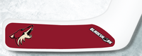 ARIZONA JR COYOTES