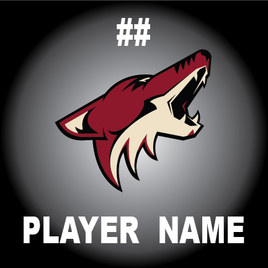 ARIZONA JR COYOTES
