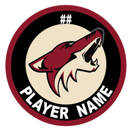 ARIZONA JR COYOTES