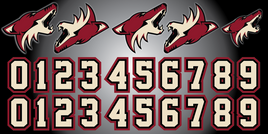 ARIZONA JR COYOTES
