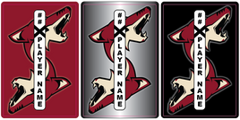 ARIZONA JR COYOTES