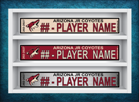 ARIZONA JR COYOTES