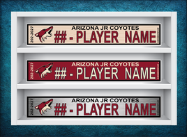 ARIZONA JR COYOTES