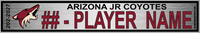 ARIZONA JR COYOTES