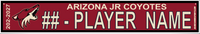 ARIZONA JR COYOTES