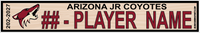 ARIZONA JR COYOTES