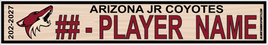 ARIZONA JR COYOTES