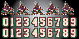 ARIZONA KACHINAS