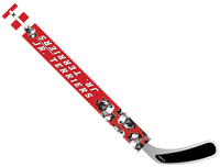BOSTON JR TERRIERS