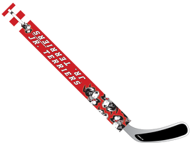 BOSTON JR TERRIERS