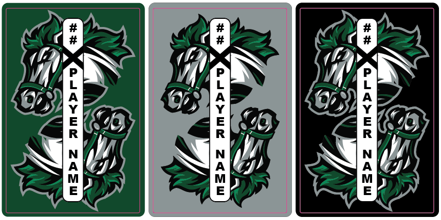 Shop BOULDER ROUGHRIDERS Hockey Stick Shaft Personalized Labels ...